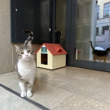 Hotel Liberi Taksim Provincia di Istanbul